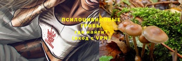 дмт Баксан
