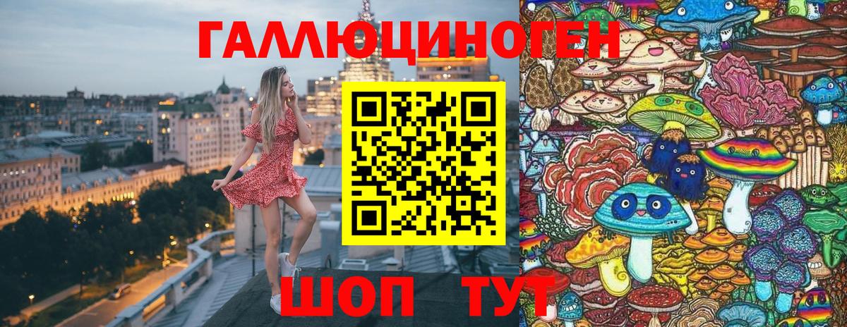 Галлюциногенные грибы Psilocybe Сегежа