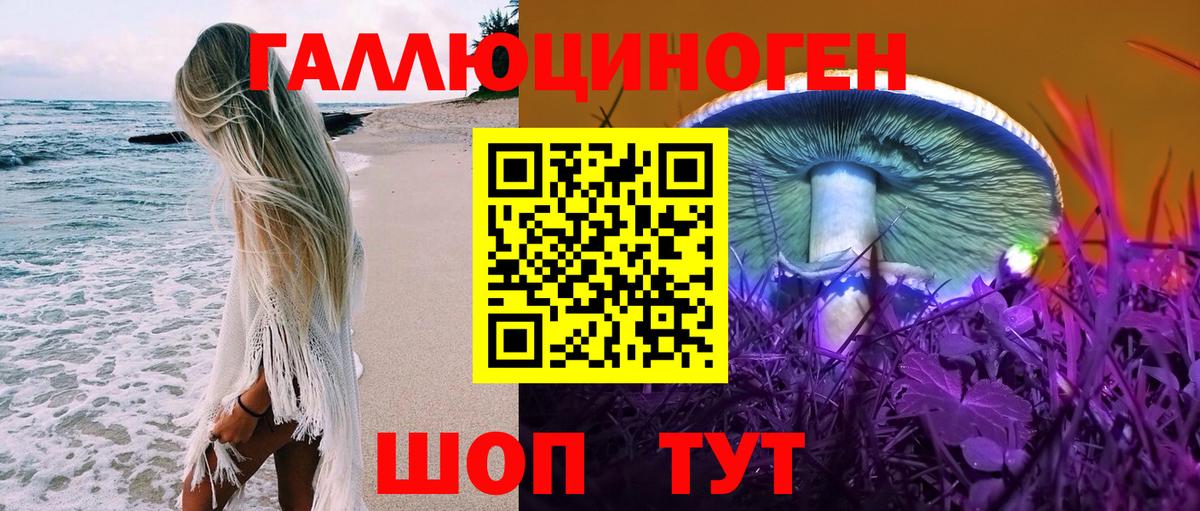 Сегежа  Галлюциногенные грибы Psilocybe  Вход с VPN 