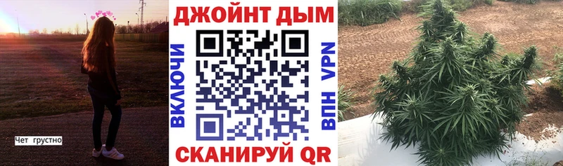 блэк спрут зеркало  Сегежа  Канабис Amnesia 
